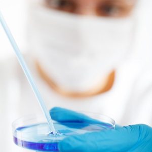 biologist in a lab putting liquid on a petri dish