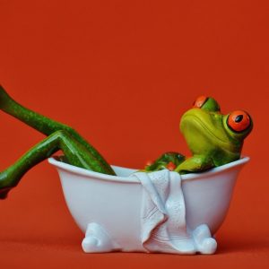 CoffeeTime: “MIRRORS AND EYES TELL THE TRUTH”