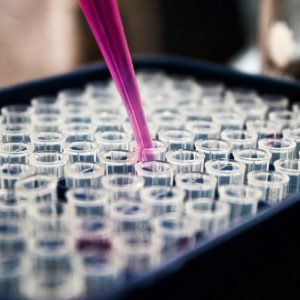 test tubes with purple liquid