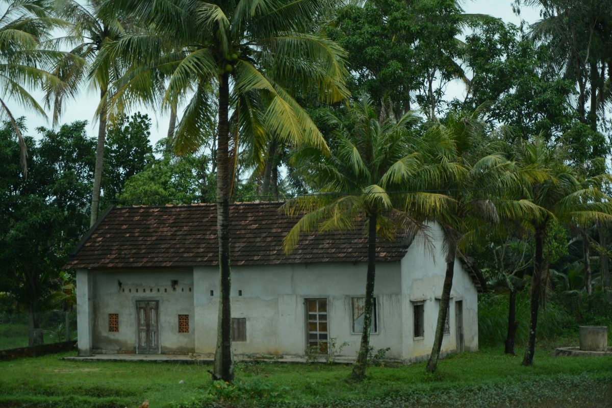 white concrete abandoned house near palm trees during daylight