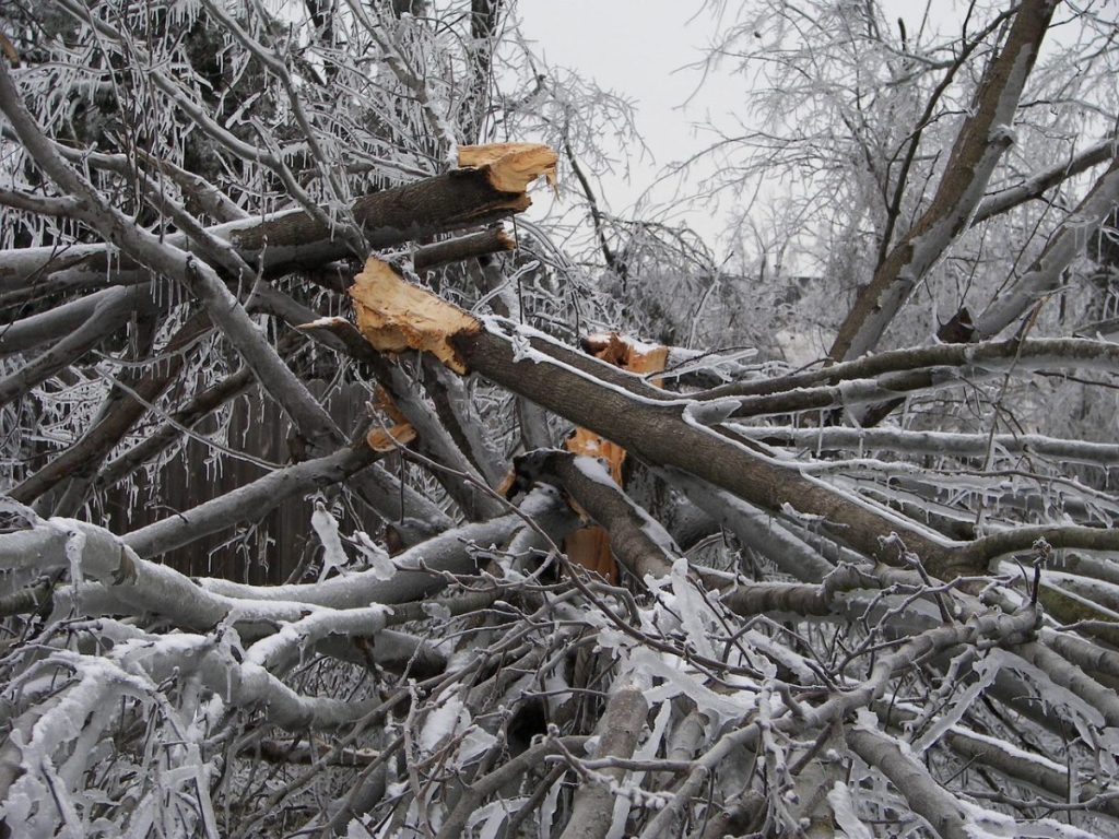 Public Works asks for patience after ice storm