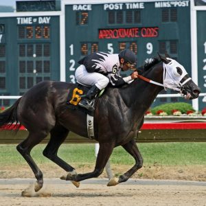 a man riding a horse in a race