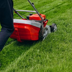 man cutting grass with lawn mower