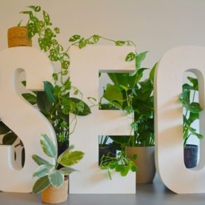 big block letters SEO sitting on a table with plants