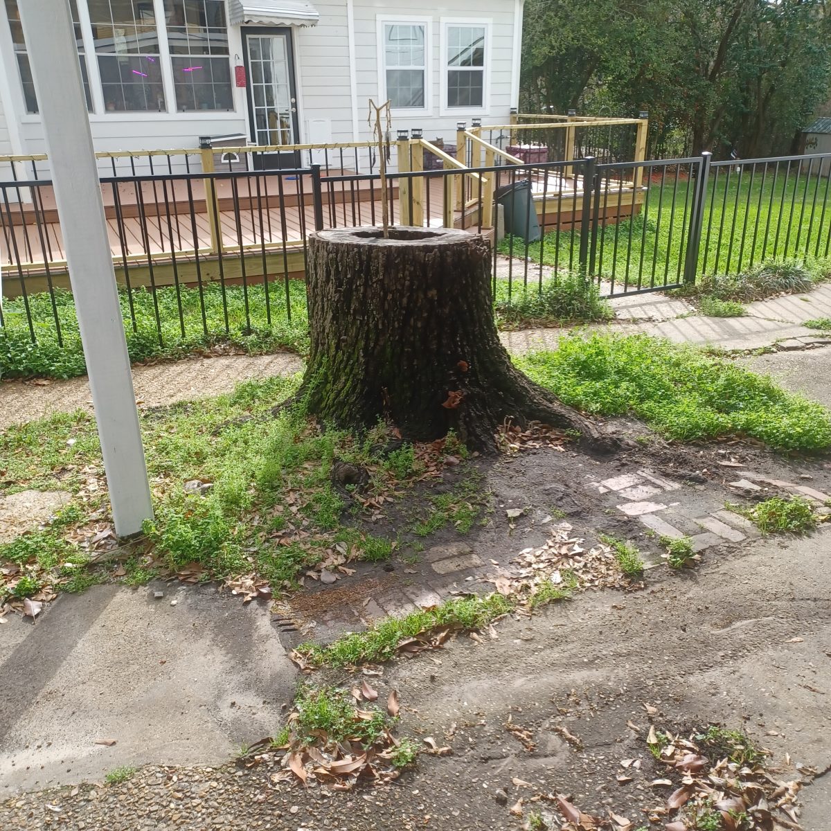 Our Olde House: March 2026