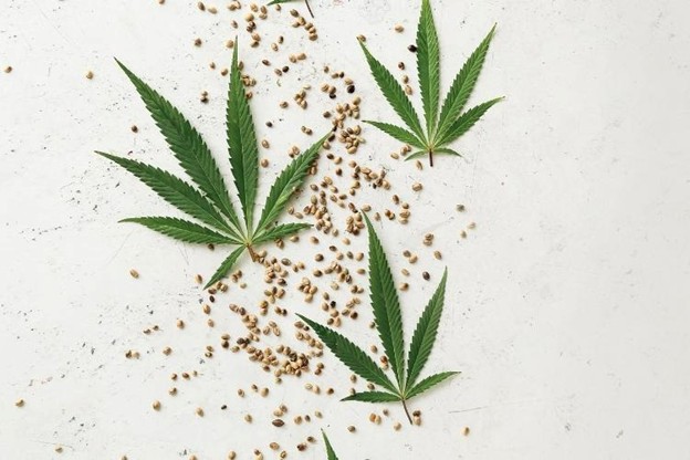 home grown cannabis laying on a table with seeds