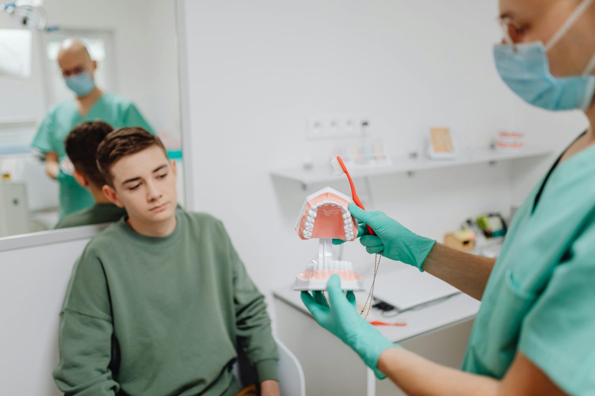 dentist holding a dental model showing a teen boy