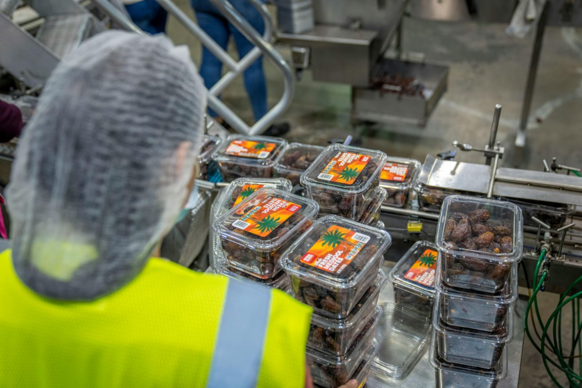 woman wearing a hair net in a manufacturing building packaging strawberries