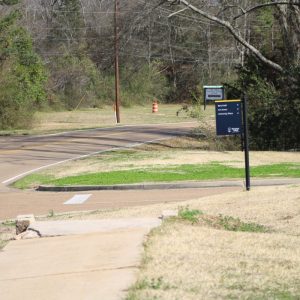 Photos from early 2025 show the areas that have been approved for a sidewalk build along the south side of College Street from Mt. Salus Drive to where the existing sidewalk ends just east of the Mississippi College Arts Complex.