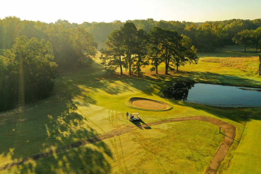 Live Oaks