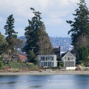 water front homes nestled among evergreen trees on a sunny day