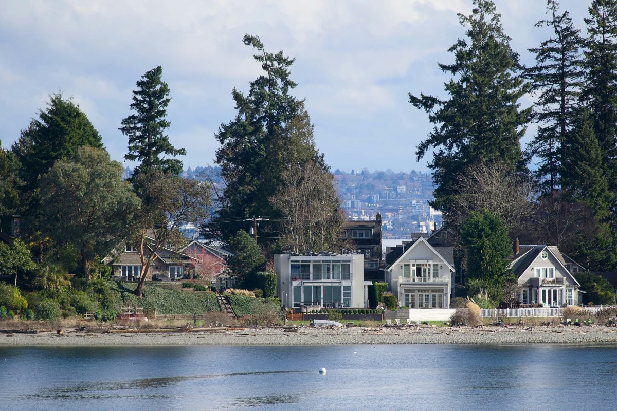 water front homes nestled among evergreen trees on a sunny day