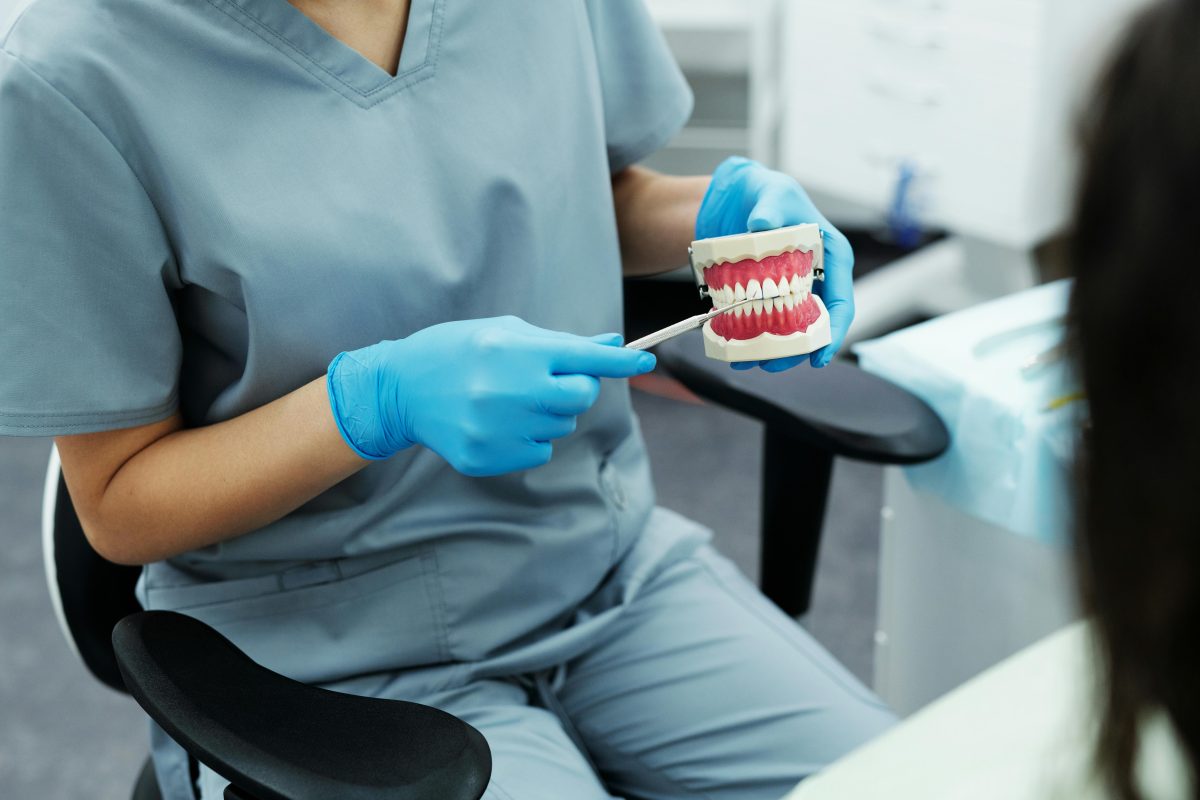 dentist holding a tooth model