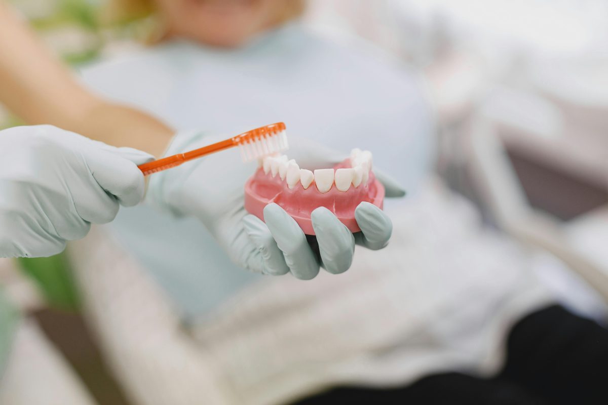 hands with gloves holding toothbrush and dental model