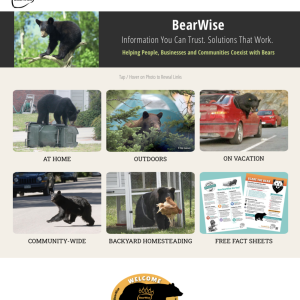 Bears are on the move across Mississippi