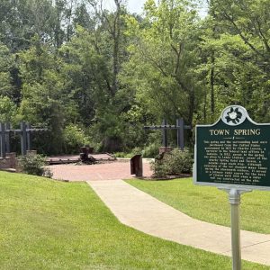 Towne Spring Park, a pocket park located in Olde Towne Clinton, will soon have security cameras installed, and additional cameras will be placed at the pickleball courts and parking areas at Towne Park on Old Vicksburg Road.