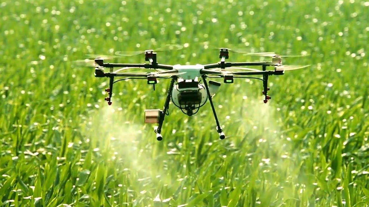 drone hovering over grass