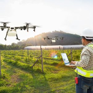 man with hard hat and yellow vest flying drones over crop field