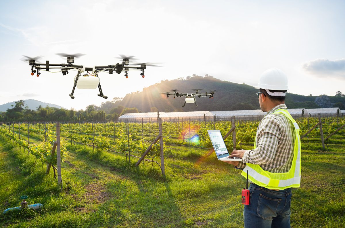 man with hard hat and yellow vest flying drones over crop field