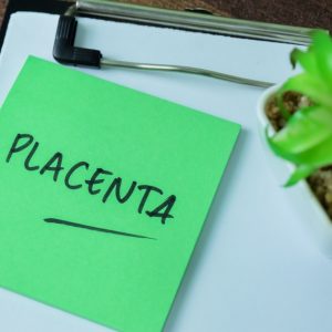 placenta written on a green paper on a clipboard