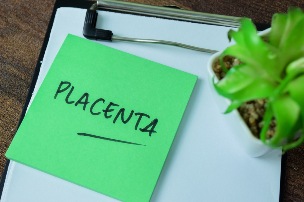 placenta written on a green paper on a clipboard