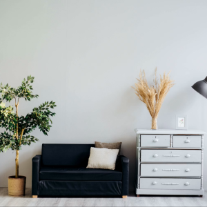 couch and night stand near wall with plant and light