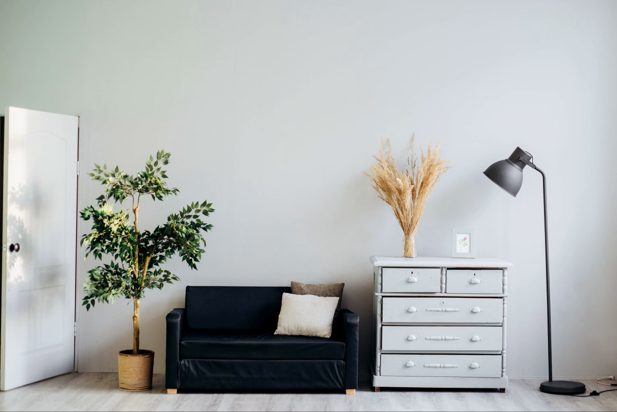 couch and night stand near wall with plant and light