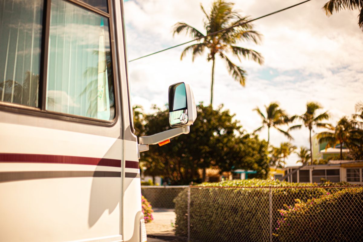 close up photo of an rv camper mirror with palm trees in the background
