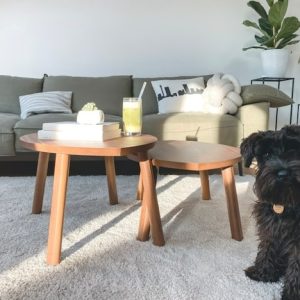 picture of dog in living room near couch