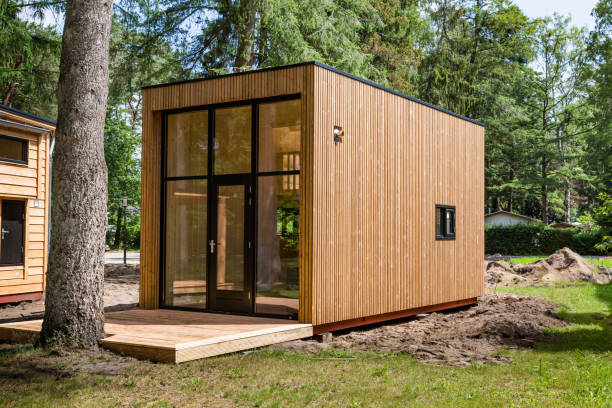 small tiny house near a tree