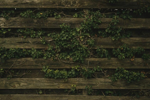 Panels mount directly to fencing, plywood or masonry and trim to fit any dimension.