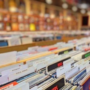 Vinyl records in stands in music store