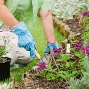 Woman gardening in summer