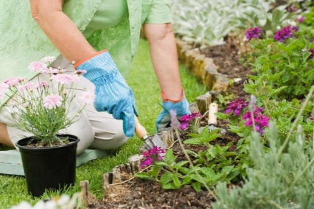 Woman gardening in summer