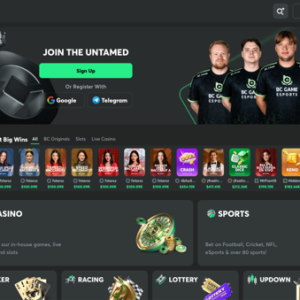 bc.game website screenshot