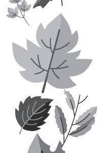grey leaves