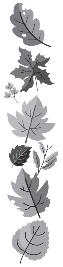 grey leaves