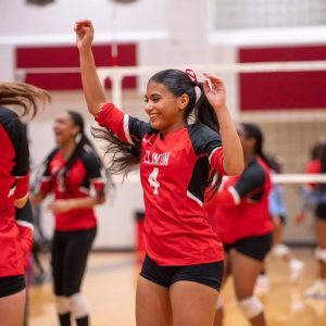 Clinton Lady Arrows volleyball players celebrating on the court