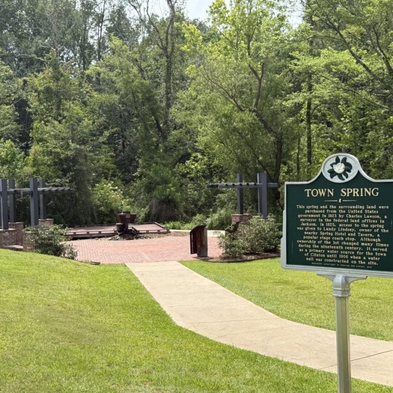 Towne Spring Park, a pocket park located in Olde Towne Clinton, will soon have security cameras installed, and additional cameras will be placed at the pickleball courts and parking areas at Towne Park on Old Vicksburg Road.