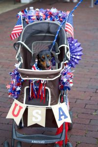 8-WagonsWheelbarrows2026 TammieStephens