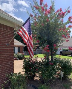 flag6